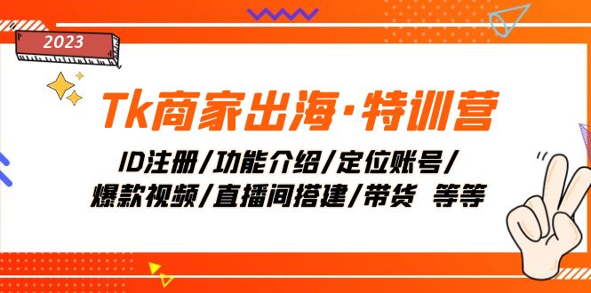 （7974期）Tk商家出海·特训营：ID注册/功能介绍/定位账号/爆款视频/直播间搭建/带货.