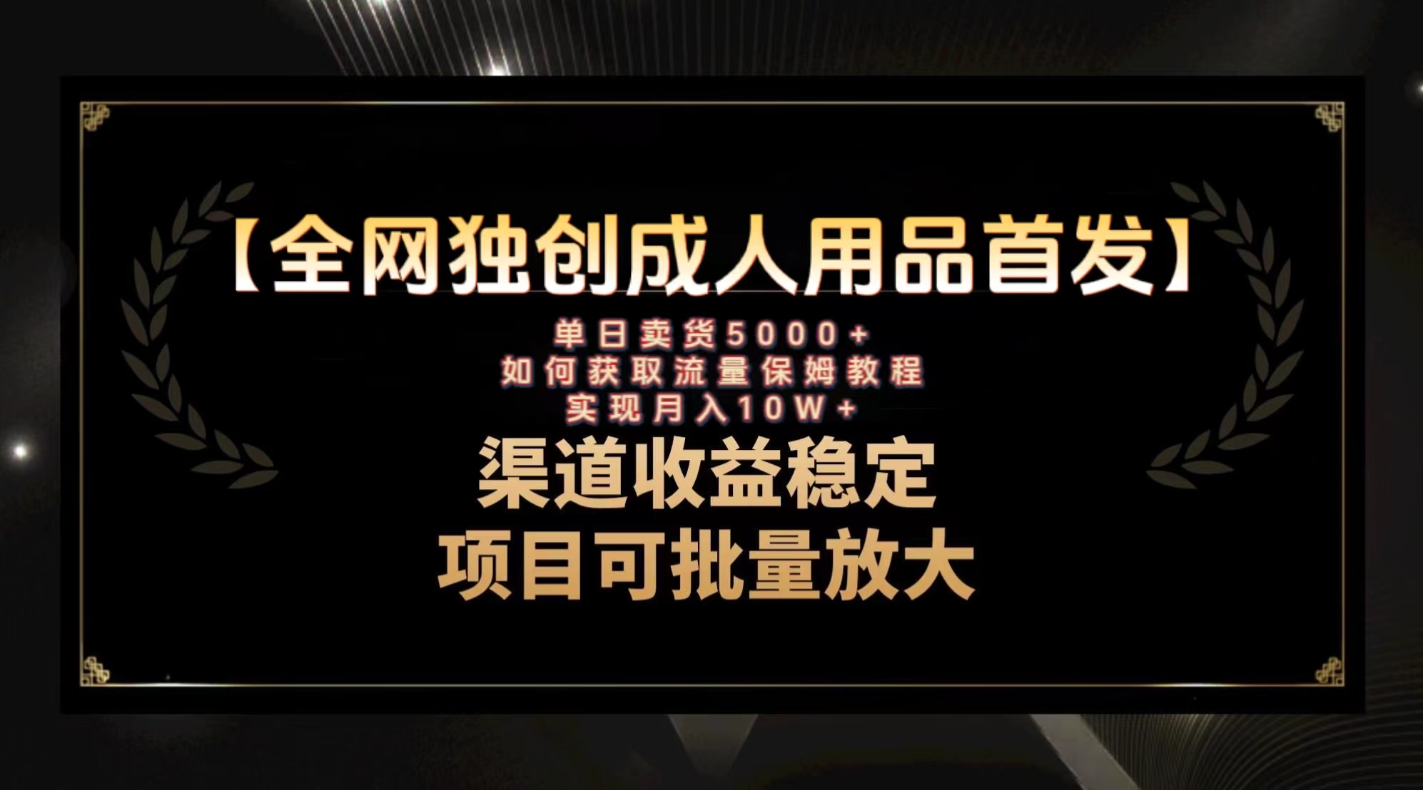 （8128期）最新全网独创首发，成人用品赛道引流获客，月入10w保姆级教程